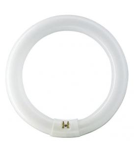 Master TL-E 32W 830 Super 80 G10q