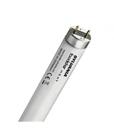 FoodStar Meat T8 F36W 176 1 G13 970mm Fluorescent Tubes 9875-14418