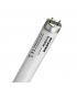 Tubi fluorescenti FoodStar Meat T8 F36W 176 1 G13 970 mmi 9875-14418