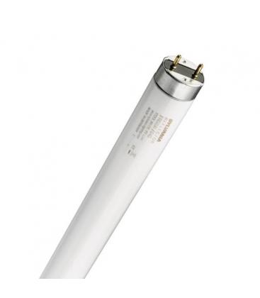 Riflettore T8 FR58W 840 G13 Luxline Plus Brillantezza dell'illuminazione 9954-14759