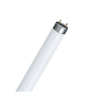 Fluorescent Lamp 18W 865 G13 Super 80 - 10228-15708