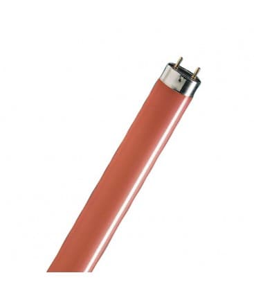 TL-D 36W 15 G13 Lampadina colorata rossa 10277-15893