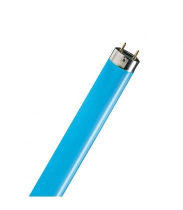 Bombilla de color azul TL-D 58W Compre ahora 10284-15921