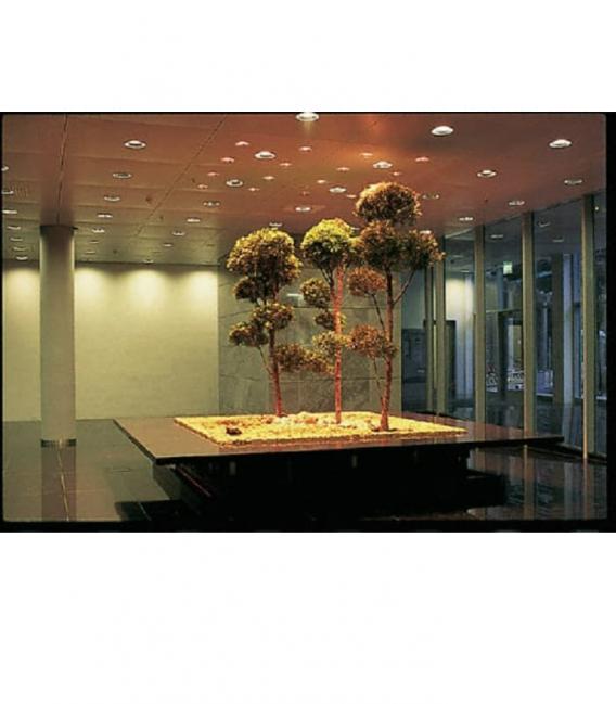 FC 22W 865 2GX13en Your Space with Powerful and Efficient – photo