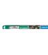Aquastar T8 F36W 174 10000K G13 para plantas 8698-18467