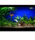 Aquastar T8 F36W 174 10000K G13 para plantas 8698-18468