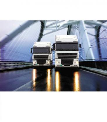 Confezione doppia 24V Truckstar PRO H7 70W - Lampadine luminose per autocarri 8831-18527