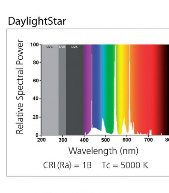 Bombilla Daylightstar T8 F18W 5000K G13 – foto