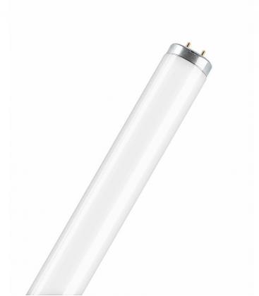 65W 640 G13 T12 LED Tube Light 241-20910