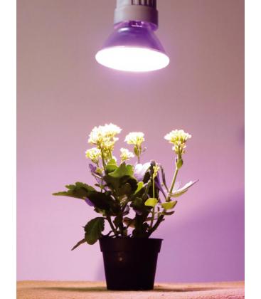 Reflector Lámpara de Planta 15W 827 E27 Lámpara de Cultivo 10713-21182