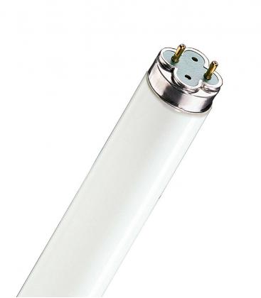 Leuchtstofflampe 36W 865 G13 Xtra Beleuchtungslösung 10902-22208