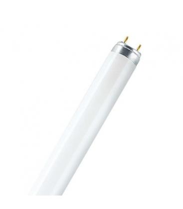 T8 18W 954 G13 Full-Spectrum Fluorescent Lamp Excellent Color Rendering 1094-2440