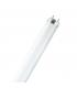 L 58W 954 G13 excellent rendu des couleurs 1110-2489