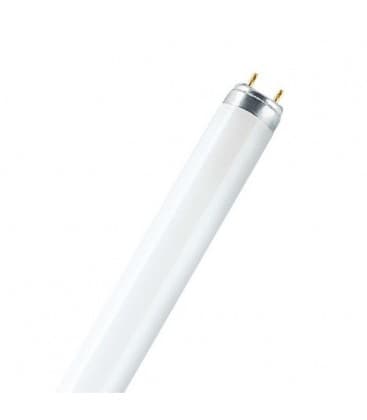 Lampada fluorescente 58W 840 G13 Soluzione di illuminazione 1111-2493