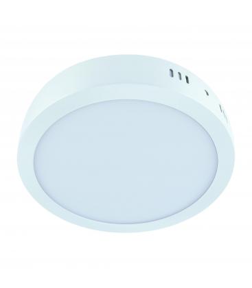 Ceiling LED Luminaire MARTIN C 24W NW White 12211-32190