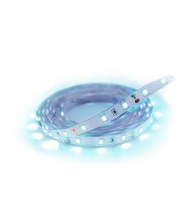 12V 24W LATE 300 CW 5 Meter, IP65 wasserdicht