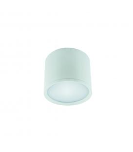 LED ROLEN 3W NW blanc