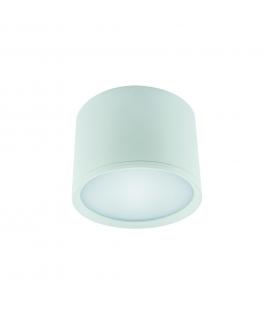 LED ROLEN 7W NW white