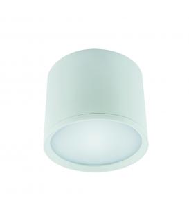 LED ROLEN 10W NW white
