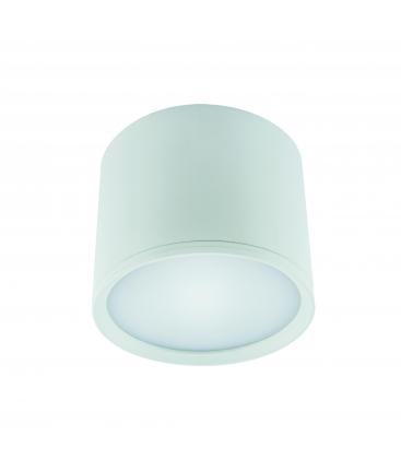 Apparecchio LED da soffitto ROLEN 10W NW Bagliore bianco 12319-32296