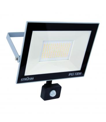 LED reflektor s senzorjem gibanja 100W Grey NW 12537-32506