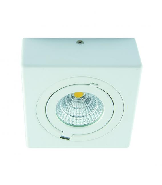Apparecchio LED COB da soffitto 6W Bianco NW – Foto