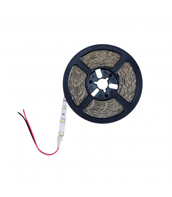12V 24W LATE 300 WW LED Strip 5 Meter Length – photo