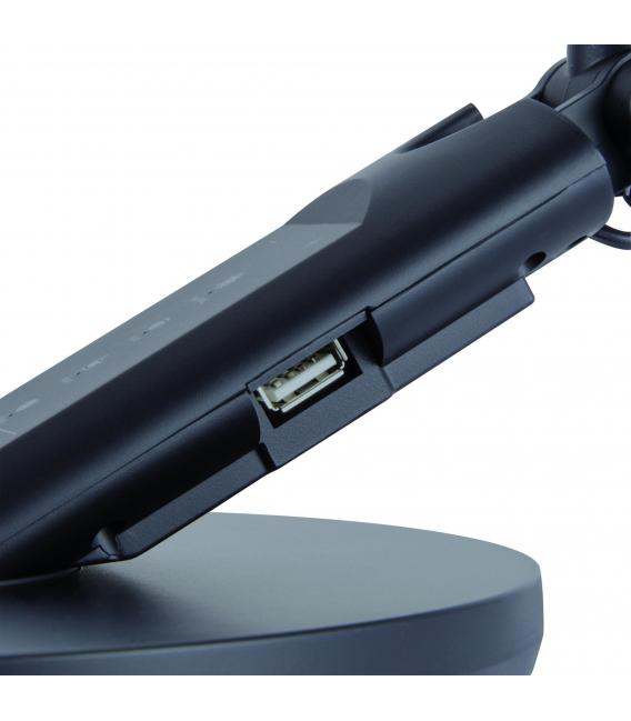 RAMZES LED Desk Lamp - Black, Perfect for Demanding Users – photo
