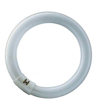 FC22 22W T9 BL368 G10q Ringröhre - Premium UV-Lampenkolben – foto