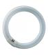 UV FC22 22W T9 BL368 G10q Ring Tube 13161-37583