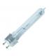 PGZ12 Cosmobela CPO-TW Clear 60W 13370-37839