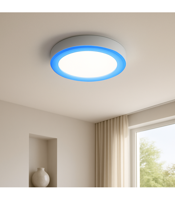 ALDEN C 6W 3W NW Dual Light Fields - Ceiling Luminaire – photo