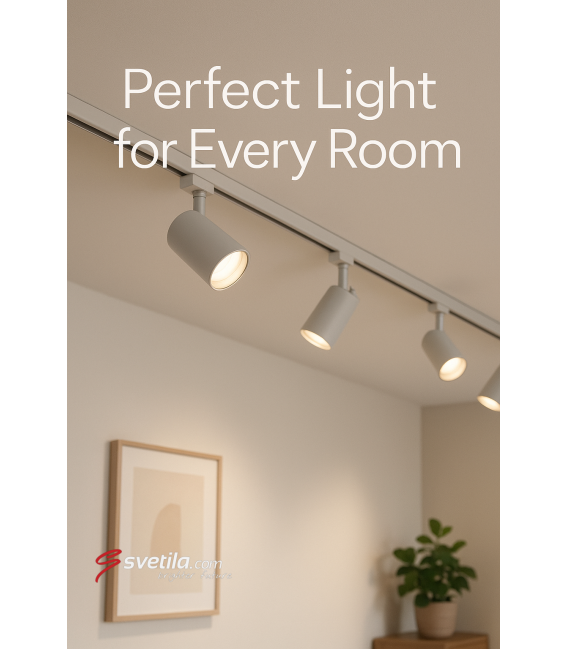 Silver CONNECTOR I - Premium Track System Luminaire – photo
