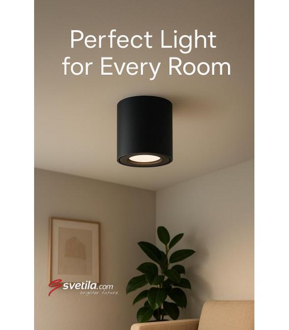 ZORBA DWL GU10 Black Ceiling Luminaire – photo