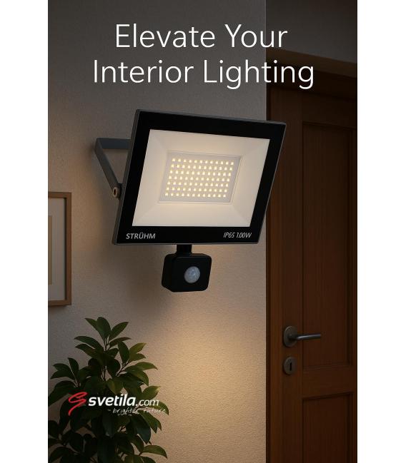 Faretto LED con sensore di movimento 100W Grigio CW – Foto