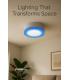 LED ALDEN C 3W+3W NW campos de luz dobles 12202-38861