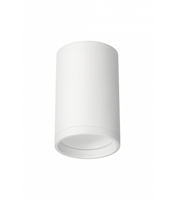 ZULA DWL GU10 apparecchio da soffitto bianco – Foto