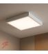 LED ROBIN D 24W NW 12302-39040