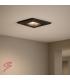 LED KURS D 1,6W NW black 12818-39410