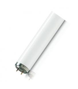 TL-D 18W 52 UV-B Terapia Médica Ictericia