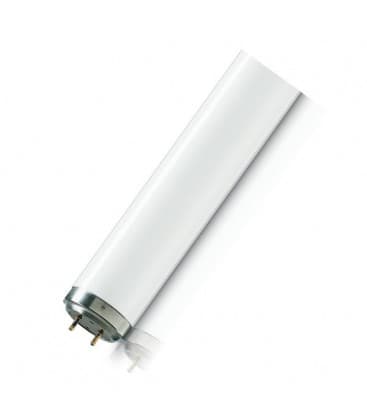 TL 20W 01 Lampe UV-B à bande étroite Solution optimale de photothérapie 8217-9513