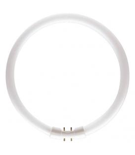 Master TL5 60W 840 2GX13