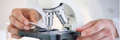 Ampoules spécialisées pour l'éclairage professionnel - Éclairer avec précision