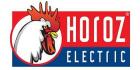 Horoz Elektrik